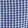 Blue Gingham
