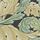 Acanthus Privet