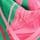 Pink and Green