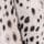 Black/White Spot