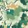 Forest Clay Evergreen
