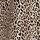Leopard Brown