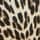 Animal Print