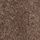 Brown Light