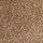 Taupe Neutral Suede