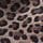 Brown Animal Print
