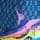 Blue Shark
