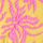 Pink/Yellow