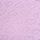 Aster Purple