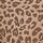Brown Leopard