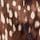 Brown Deer Print