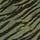 Green Zebra