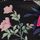 Black Floral Print