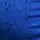 Blue Broderie