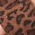 Brown Leopard