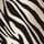 Zebra Print