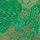 Verdant Green