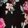 Black and Pink Floral