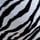 Black Zebra Print