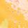 Yellow Floral Print Broderie