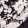 Monochrome Floral