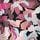 Floral Pink