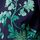 Navy Blue and Green Floral