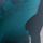 Teal Blue