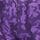 Purple Print