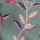 Green/Pink Floral
