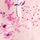 Pink Floral