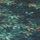 Jungle Green