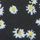 Black/White Daisy Print