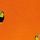 Bright Orange Toucan