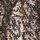 Silver Leopard