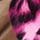 Pink Leopard Animal