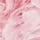 Pink Rose