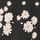Black Daisy Print