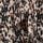Brown Leopard Print