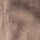 Neutral Brown