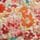 Multi Bright floral