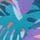 Tropical