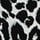 Black  White Leopard