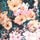 Peach and Pink Floral