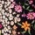 Black Multi Floral Print