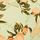 Iced Olive Orange Splash