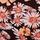 Soft Black Floral