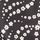 Black and White Floral