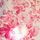 Pink Print