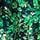 Green & Black Floral Print